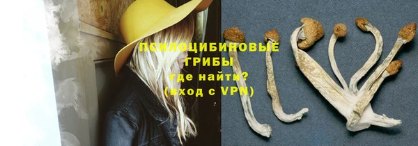 кокс Баксан