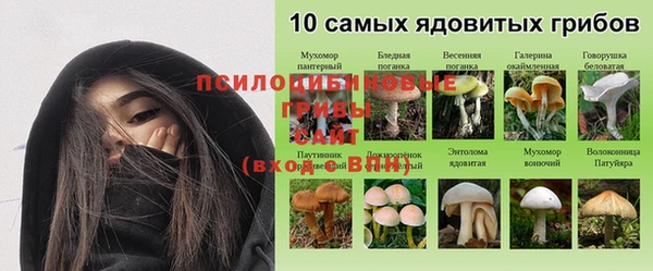 MDMA Premium VHQ Беломорск