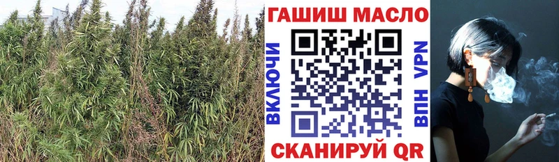 Купить закладки  Красновишерск  ТГК вейп с тгк 
